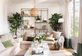 decoracion con plantas hogar